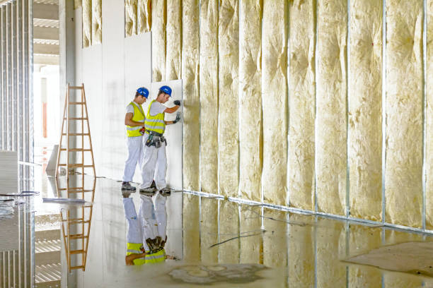 Best Spray Foam Insulation  in Gregory, SD